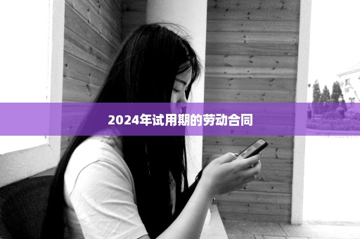 2024年试用期的劳动合同