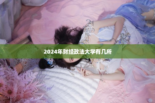 2024年财经政法大学有几所