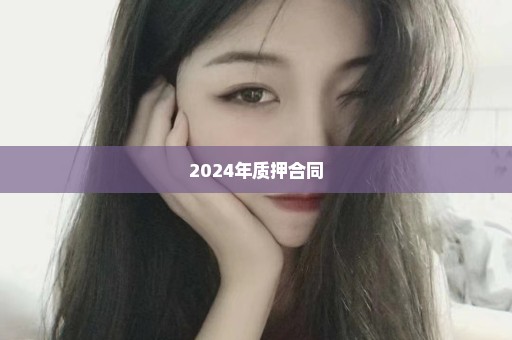 2024年质押合同