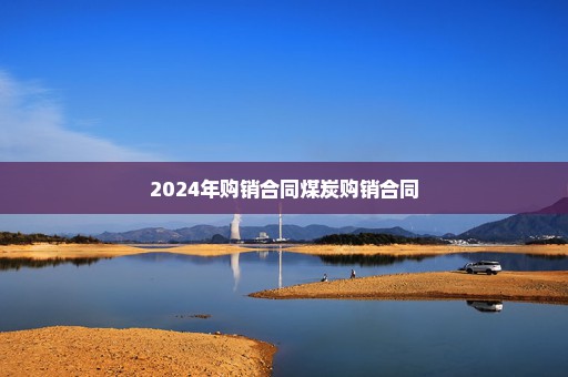 2024年购销合同煤炭购销合同