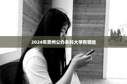 2024年贵州公办本科大学有哪些