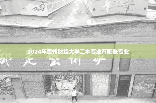 2024年贵州财经大学二本专业有哪些专业