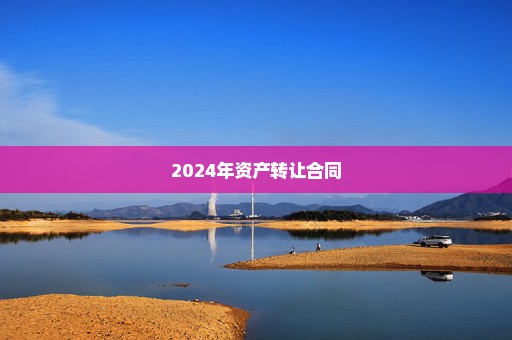 2024年资产转让合同