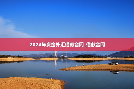 2024年资金外汇借款合同_借款合同