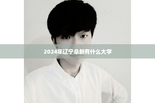 2024年辽宁阜新有什么大学