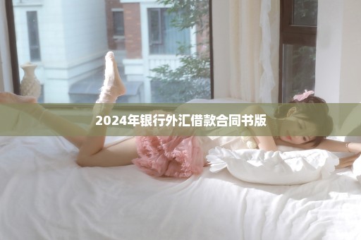 2024年银行外汇借款合同书版