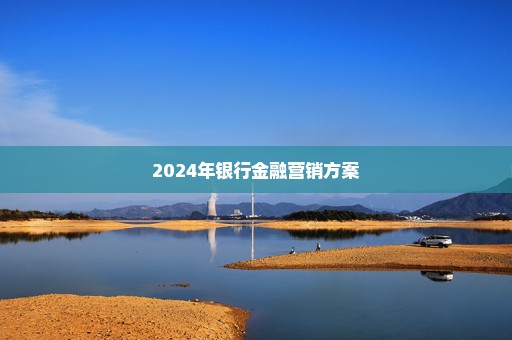 2024年银行金融营销方案