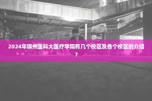 2024年锦州医科大医疗学院有几个校区及各个校区的介绍？