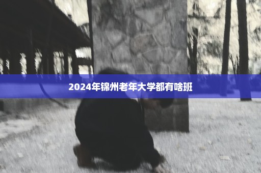 2024年锦州老年大学都有啥班