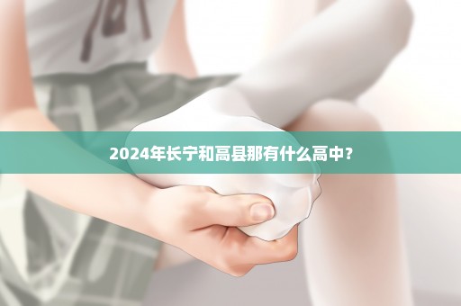 2024年长宁和高县那有什么高中？