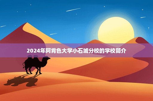 2024年阿肯色大学小石城分校的学校简介