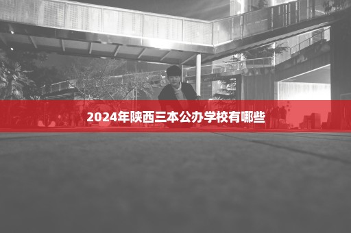 2024年陕西三本公办学校有哪些