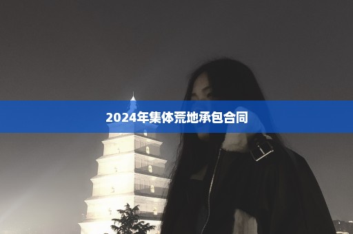 2024年集体荒地承包合同