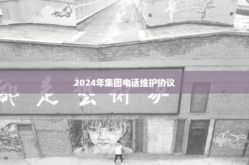 2024年集团电话维护协议