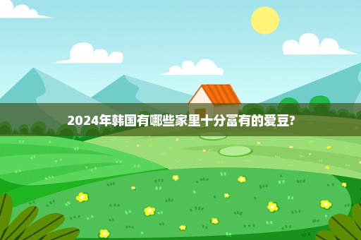 2024年韩国有哪些家里十分富有的爱豆?