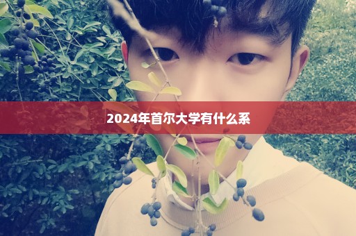 2024年首尔大学有什么系