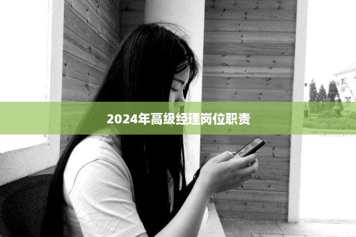 2024年高级经理岗位职责