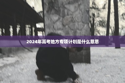 2024年高考地方专项计划是什么意思