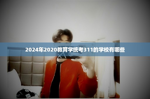 2024年2020教育学统考311的学校有哪些