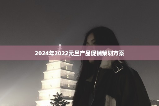 2024年2022元旦产品促销策划方案