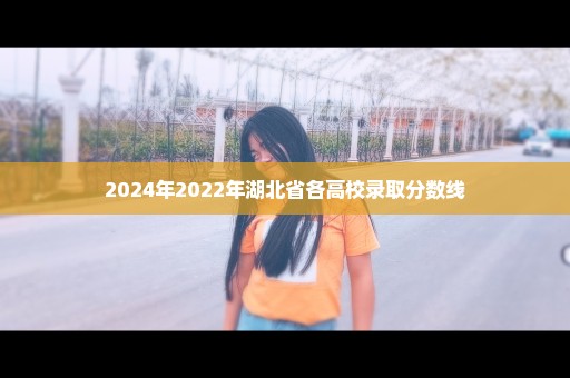 2024年2022年湖北省各高校录取分数线