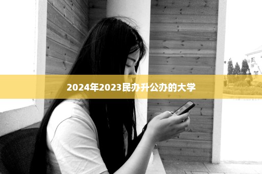 2024年2023民办升公办的大学