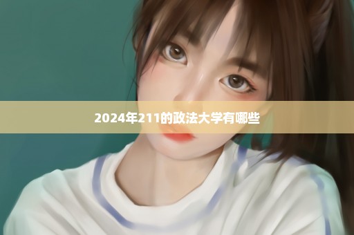 2024年211的政法大学有哪些