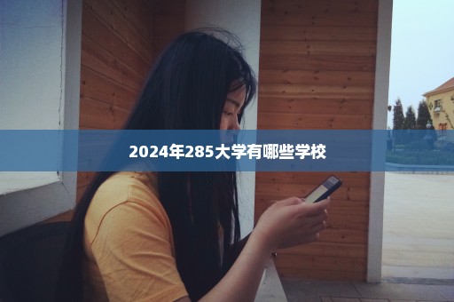 2024年285大学有哪些学校