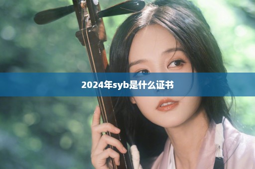 2024年syb是什么证书