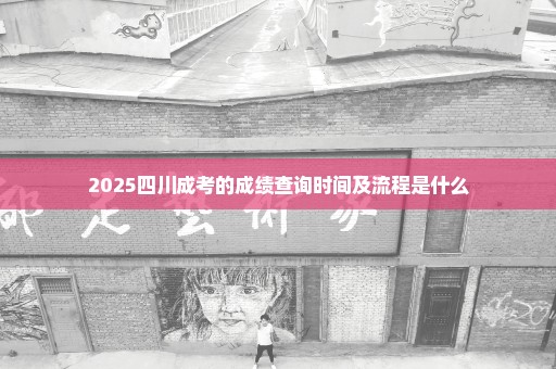 2025四川成考的成绩查询时间及流程是什么