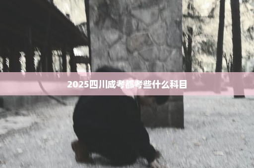 2025四川成考都考些什么科目