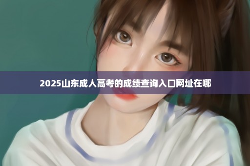 2025山东成人高考的成绩查询入口网址在哪