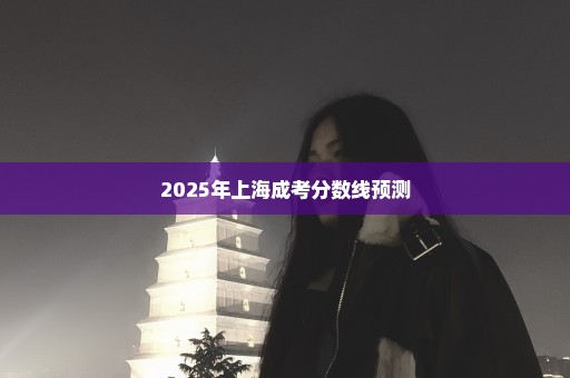 2025年上海成考分数线预测