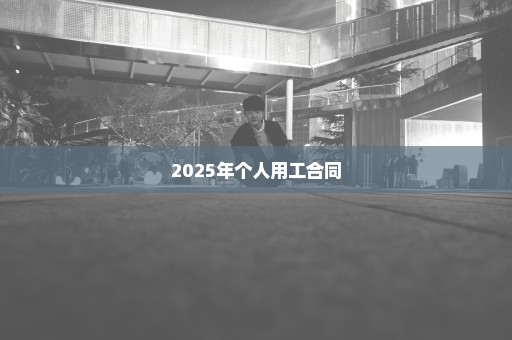 2025年个人用工合同