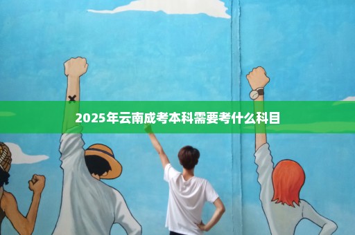 2025年云南成考本科需要考什么科目