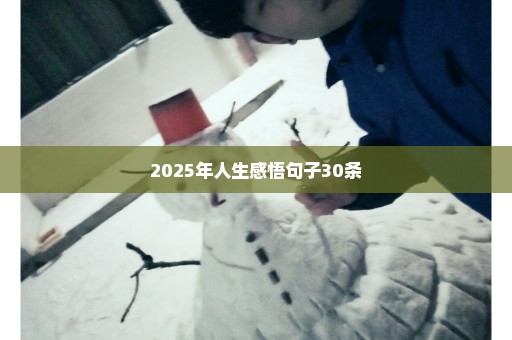 2025年人生感悟句子30条
