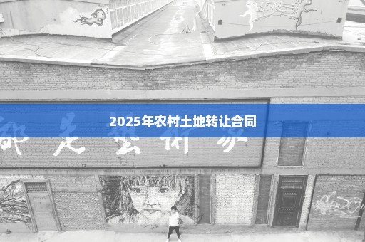 2025年农村土地转让合同