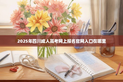 2025年四川成人高考网上报名官网入口在哪里