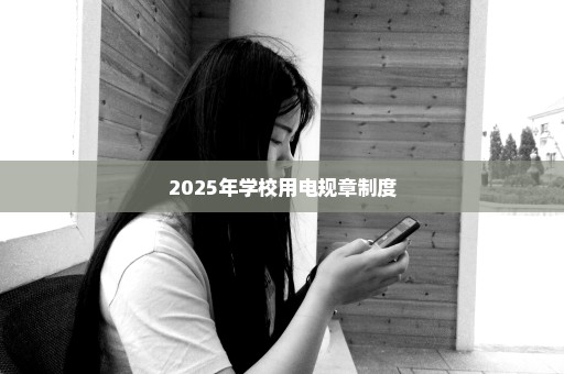 2025年学校用电规章制度