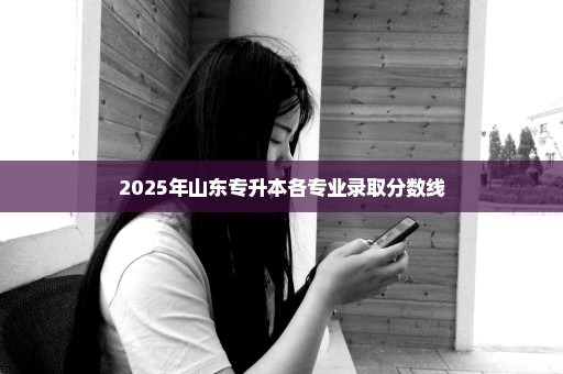 2025年山东专升本各专业录取分数线