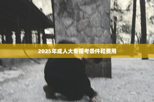 2025年成人大专报考条件和费用