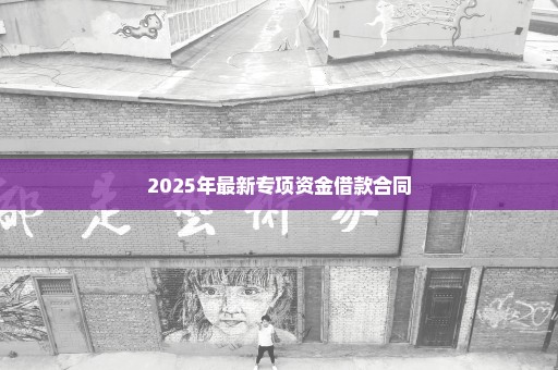 2025年最新专项资金借款合同