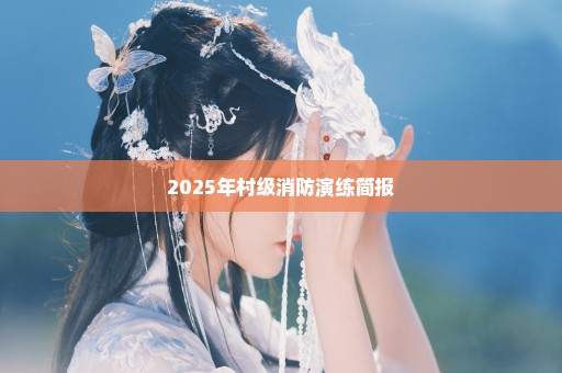 2025年村级消防演练简报