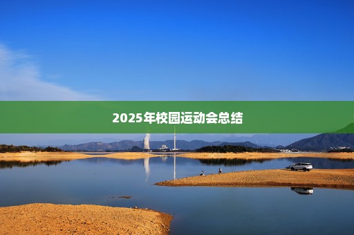 2025年校园运动会总结