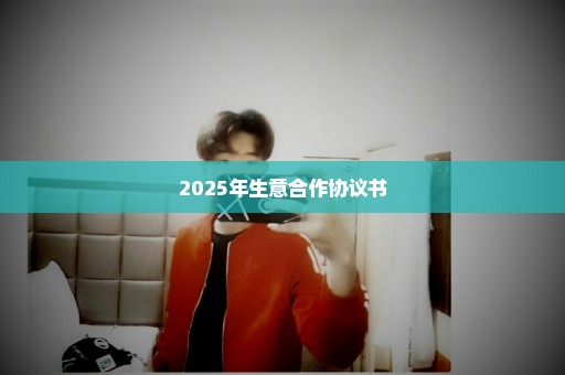 2025年生意合作协议书