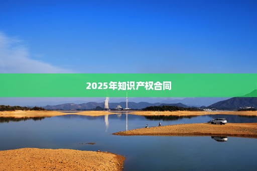 2025年知识产权合同