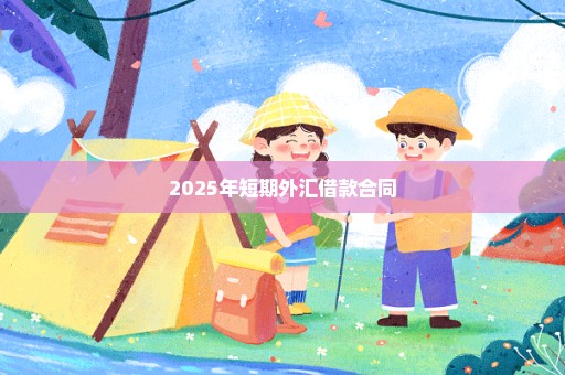 2025年短期外汇借款合同