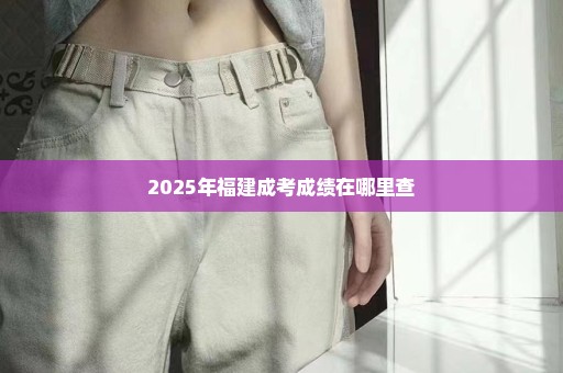 2025年福建成考成绩在哪里查