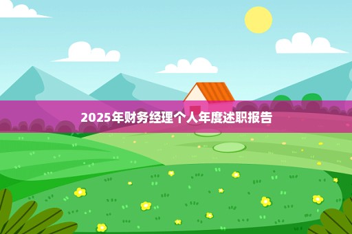 2025年财务经理个人年度述职报告