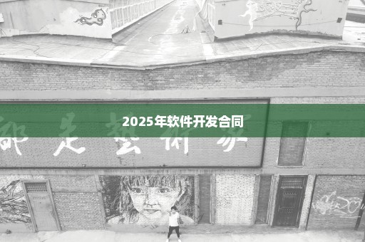 2025年软件开发合同